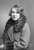 Serrander


