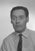 Jussi Jeppinen, Högbergsgatan 9, Gävle. Den 16 februari 1973