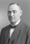 Herr Magnusson
