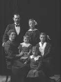 Familjen Vidlund