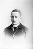 M. Sterner