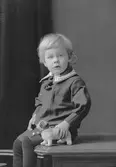 Arkitekten Hedins dotterson
