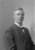 Henning Andersson