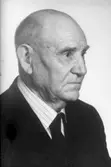 Man. Från sågverksalbumet.