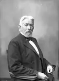 Konsul Berndtsson. Kopia