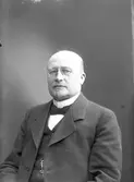 Bankdirektör Carlqvist