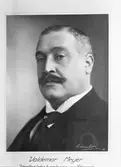 Valdemar Meyer. Kopia. Fotograferad Berna Roth ateljé 1925.