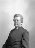 Lektor Paul Peter Waldenström.