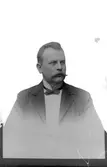 Mansporträtt
