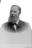 Mansporträtt