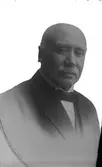 Mansporträtt