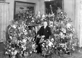 Konsul Emil Mattons 80-årsdag, fotografiet tagit i hemmet. 19 februari 1946. Konsul Emil Matton, Runebergsvägen 1, Gävle.