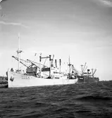 Gävle hamn, invasion av fartyg. Fredriksskans, 18 augusti 1950.


