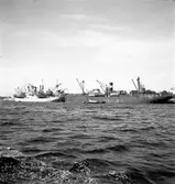 Gävle hamn, invasion av fartyg. Fredriksskans 18 augusti 1950.


