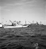 Gävle hamn, invasion av fartyg. Fredriksskans, 18 augusti 1950.


