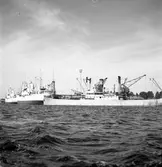 Gävle hamn, invasion av fartyg. Fredriksskans, 18 augusti 1950.


