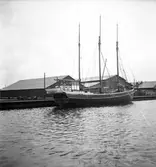 Gävle inre hamn, en tremastare. 16 oktober 1950.



