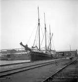 Gävle inre hamn, en Tremastare. 16 oktober 1950.



