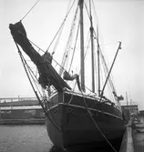 Gävle inre hamn, en tremastare. 16 oktober 1950.



