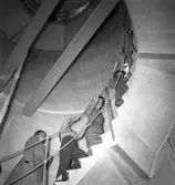 Skolresa, utflykt till Eggegrund med M/S Britt. 29 augusti 1950.



