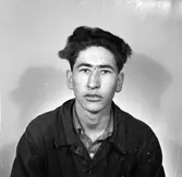 Edmund Pettersson Rederi AB. Legitimationsfotografi. Augusti 1950.


