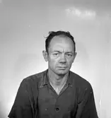 Edmund Pettersson Rederi AB. Legitimationsfotografi. Augusti 1950.



