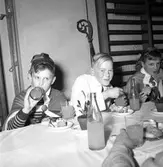 Gefle Jultomtar, julfest. 16 december 1951. Frk. Ljung,
Brändströmgatan 10, Gävle