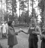 Rörbergs koloni, reportage. 24 juni 1952.
