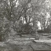 Kyrkogården vid Källa ödekyrka.