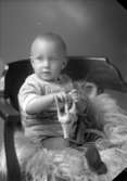 Ateljébild på ett barn med en leksakshäst. Beställare till bilden: Fru Britta Johansson ifrån Kalmar.