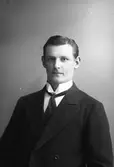 J.  Nyström, Fredenborg, Bomhus