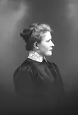 Hildur Karlberg. Lasarettet