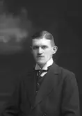 John Johansson, See, Österfärnebo