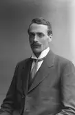 Johan Olsson, Stärte, Österfärnebo, Sandviken
