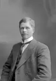 Erik Persson, Hedvigsberg 3, Sandviken