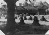 Tolvfors. Bruksgårdar från början av 1900-talet.