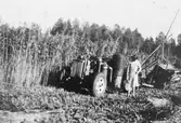 Skörd av hampa på 1940-talet, hos Norrgårds, Brunnsheden under andra världskriget.
Lögg märke till gengasdrift och stavhaspelbindare.