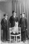 Emil Jonasson, August Andersson och Simon Westlund.