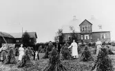 Nilses i Vall.
Skördearbete hos Nilses i Vall på 1920-talet.
I uniform: stationskarlen Johan Forsberg.