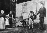 Söders i Ålbo (Smedsäng 1912).
Från vänster: Karin Söder (1868-1938), dottern Ida (född 1906), Karins mor Anna Jonsdotter (född 1837), Olov Johan Söder (1873-1957).Skicklig smed och slöjdare. Drev då ett mindre jordbruk i Smedsäng. Övertog arrendet av Hade Herrgård 1915. Återlyttade till Ålbo 1928 (Norrgårds). Kon inkörd och använd som dragare.