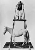 Anders Eklöv, son till Sjungar-Pelle.
Cirkusartist ett antal år bl.a. hos Ringling Brothers.
Död på 1950-talet.