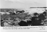 Havet vid Furuskär,
(Reproduktion av Svenska Turistföreningens vykort)