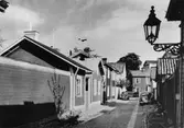Gamla Gefle
