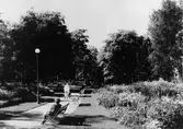 Gävle stad – Väster, Stadsträdgården.


