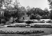 Gävle stad – Väster, Stadsträdgården.

