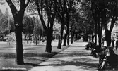 Gävle stad – Norr, Esplanaden.

