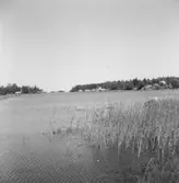 Båthus, långsida och gavel från sydost.
Norrmyravägen 13 Eskön.


