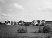 Villor vid Runebergsvägen. 1915