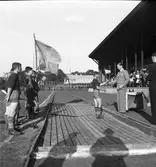 Fanlaget 1938. Brynäs