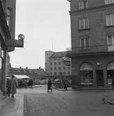 Trädgårdstorget sett från Tanneforsgatan, mot Delfinpalatset vid korsningen med Nygatan. 
Trädgårdstorget togs i bruk år 1863 och hette ursprungligen Tanneforstorget, men kallades vanligen Köttorget eftersom kötthandeln ägde rum där. När grönsaker blev huvudprodukten gavs torget namnet Trädgårdstorget. 1926 förändrades torget från triangulär form till en rektangulär form.